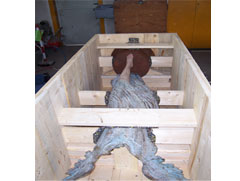 Imballaggi in legno speciale per sculture